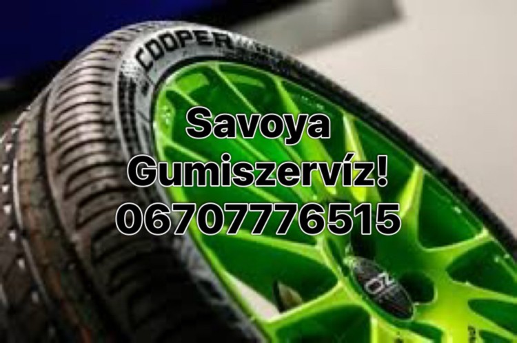 Savoya park, Gumiszervíz