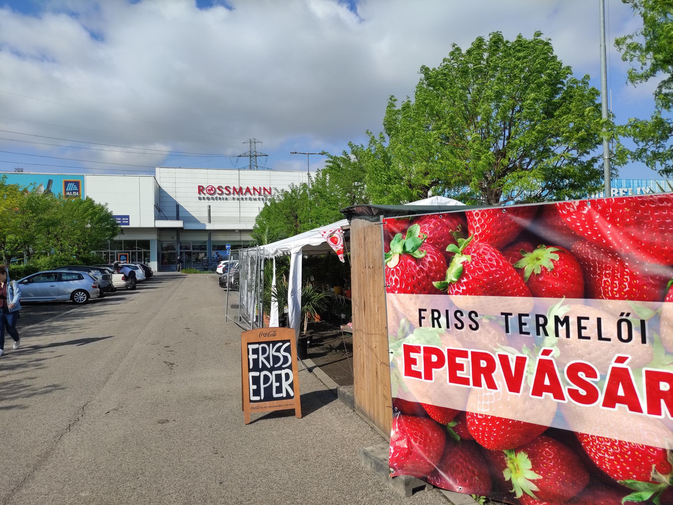 Új stand a Forum parkolóban: termelői eper- és növényvásár